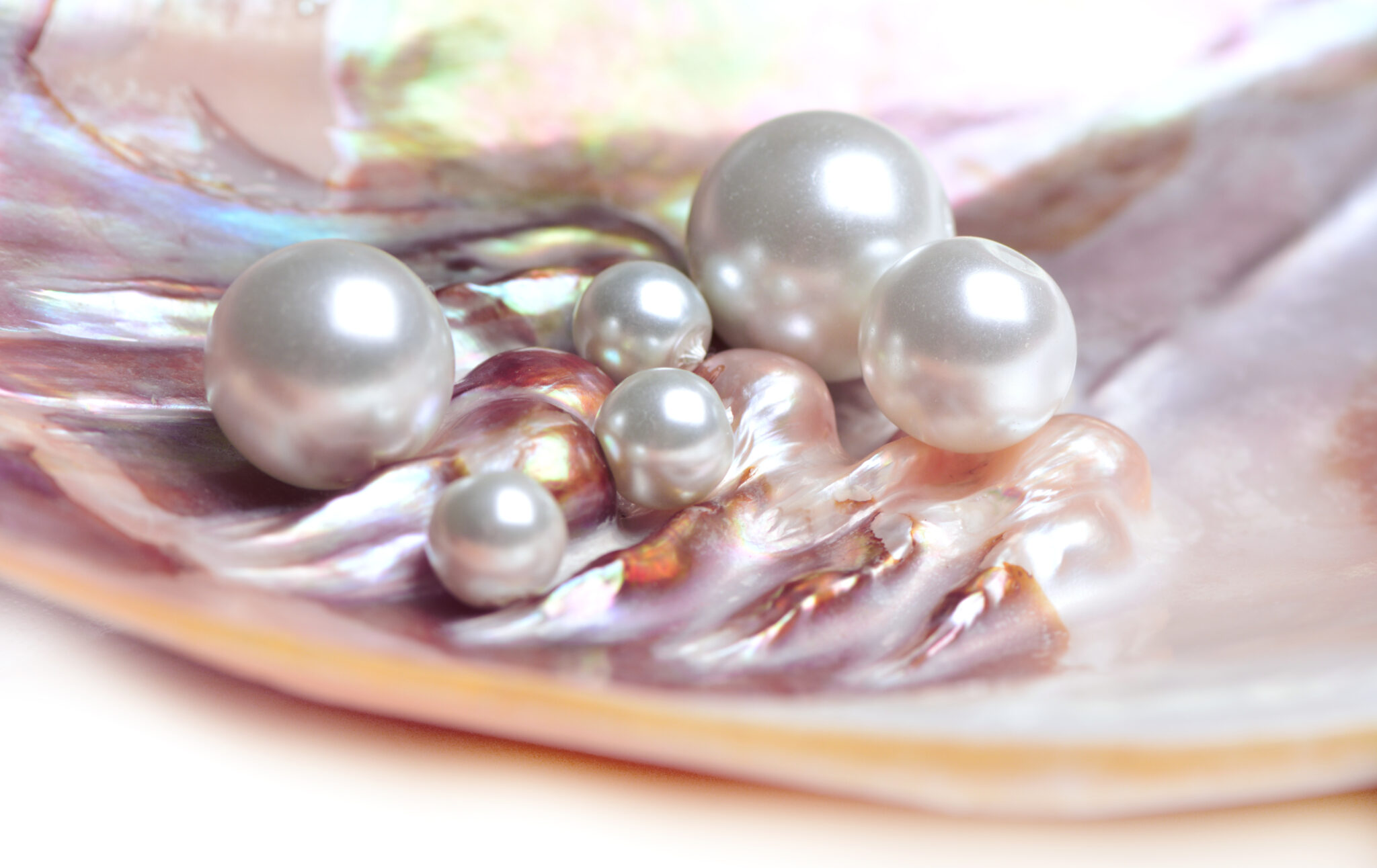 最古の宝石 真珠 KOFU Jewelry 最古の宝石 真珠 KOFU Jewelry